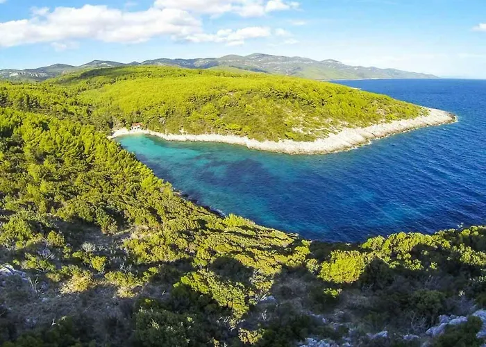 Adam 扎瓦拉提卡