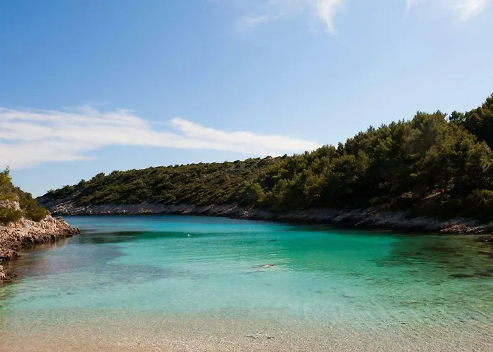 Adam 扎瓦拉提卡