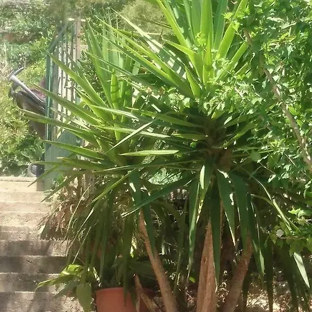 Adam Апартаменты *