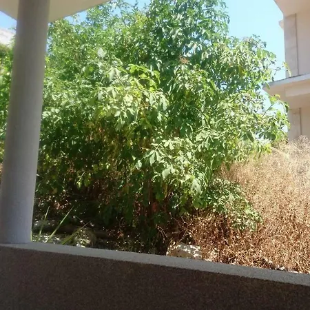 Adam Apartman
