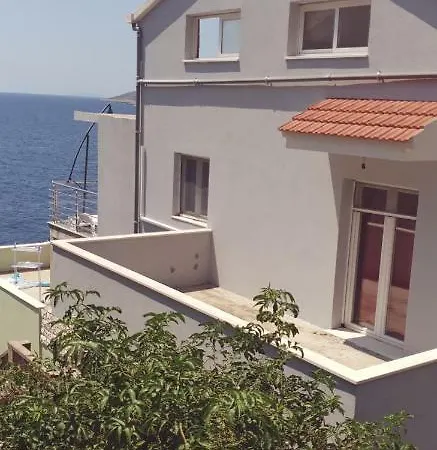 Adam ザヴァラティサ