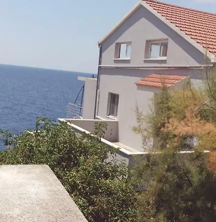 Adam * ザヴァラティサ