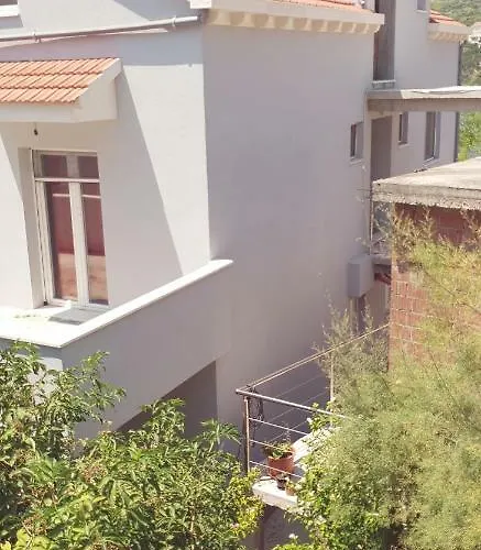 Adam * זבלטיצה